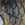 0001_Savage_Gear_4D_Line_Thru_Roach_18_cm_[Baars].jpg